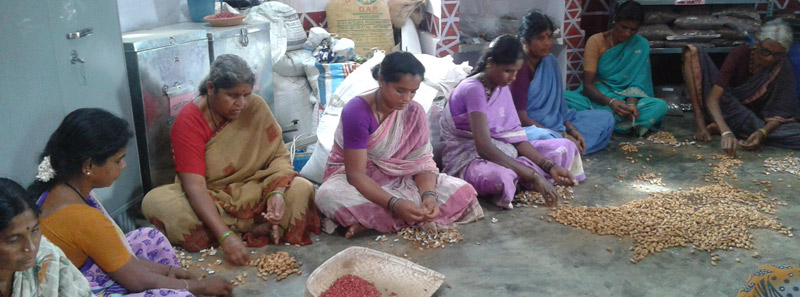 Sri Maramma CSB & seed producer group Gulaganahalli